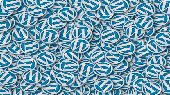 Why Web Developers Prefer WordPress - Content Management System (CMS)